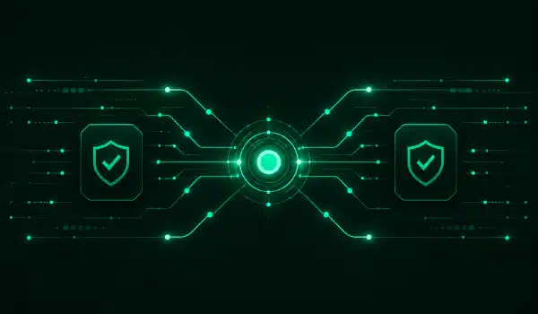 Player app storage and data reset menu wireframe